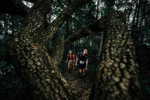 BIB: 
                            <button type="button" onclick="openModal(25678567)" class="btn btn-primary btn-sm float-right btn-popup" data-toggle="modal" data-target=".modal-high-quality">
                        <i class="fas fa-shopping-cart"></i> Add to Cart
                    </button>
                                            <button type="button" onclick="isThisMe(25678567, true)" class="btn btn-success btn-sm float-right btn-popup btn-isme hidden" data-toggle="tooltip" data-placement="bottom" title="นี่คือรูปของคุณใช่ไหม คลิกที่นี่เพื่อเอาเข้าอัลบั้ม">
                        <i class="fas fa-plus"></i> Add to album
                    </button>
                    <button type="button" onclick="isThisMe(25678567, false)" class="btn btn-warning btn-sm float-right btn-popup btn-isnotme hidden">
                        <i class="fas fa-ban"></i> Remove from album
                    </button>